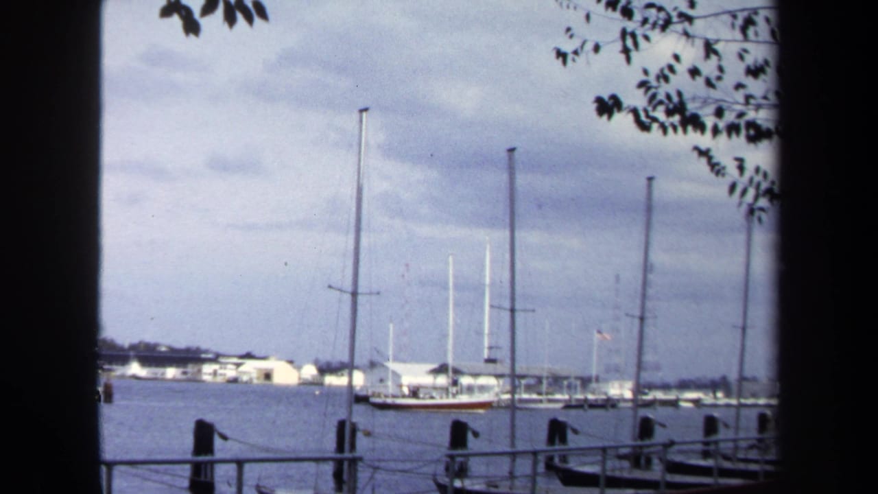 1970 Annapolis marina view on 8mm film with docked sailboats, low waterfront buildings, pilings, and tree branches in the foreground.