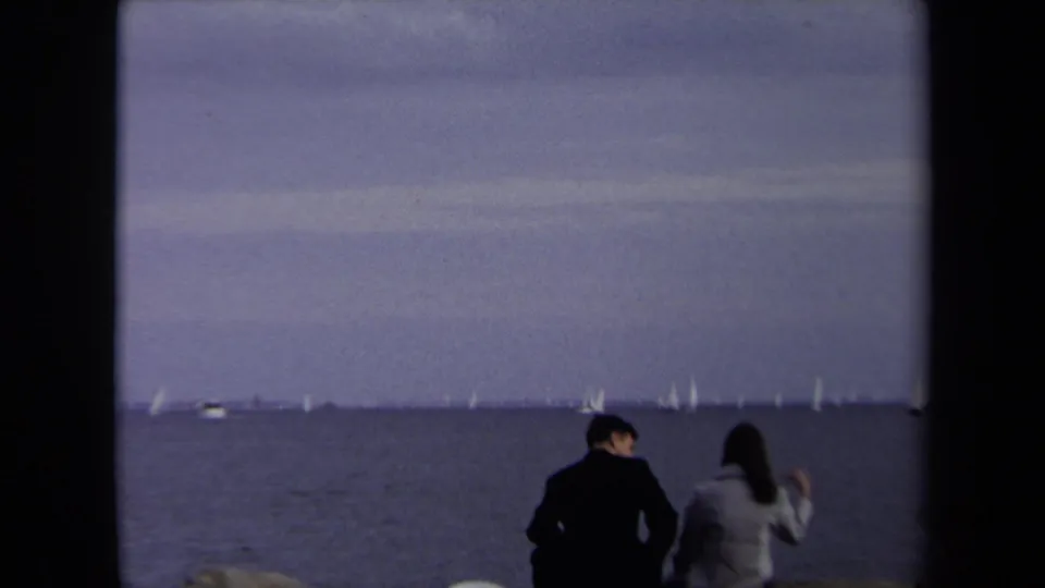 A seated couple on the Annapolis shoreline appears to look outward as the woman raises a hand toward the distant sailboats.