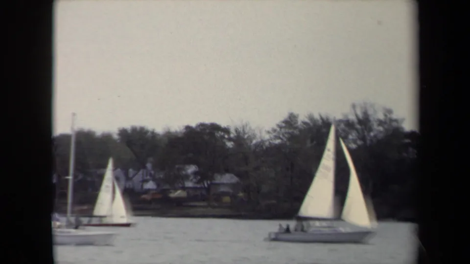 Sailboats move across an Annapolis waterfront view, with trees and shoreline houses in the background.