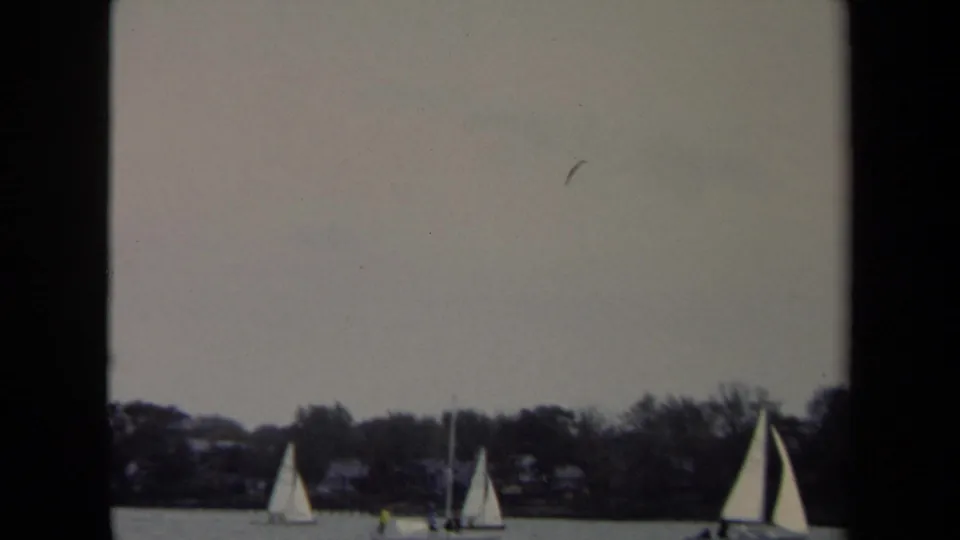 A wider waterfront frame shows multiple sailboats near the Annapolis shoreline under a muted sky.