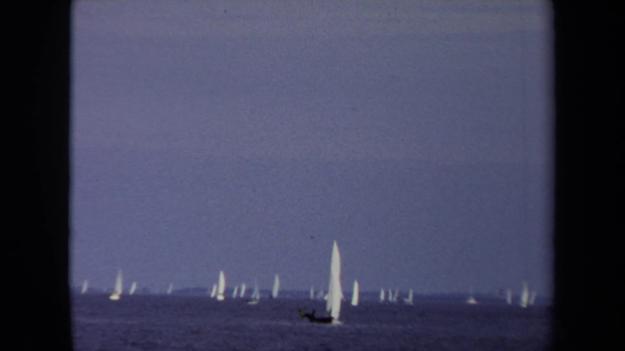 Multiple white sailboats spread across calm water under a muted blue sky.