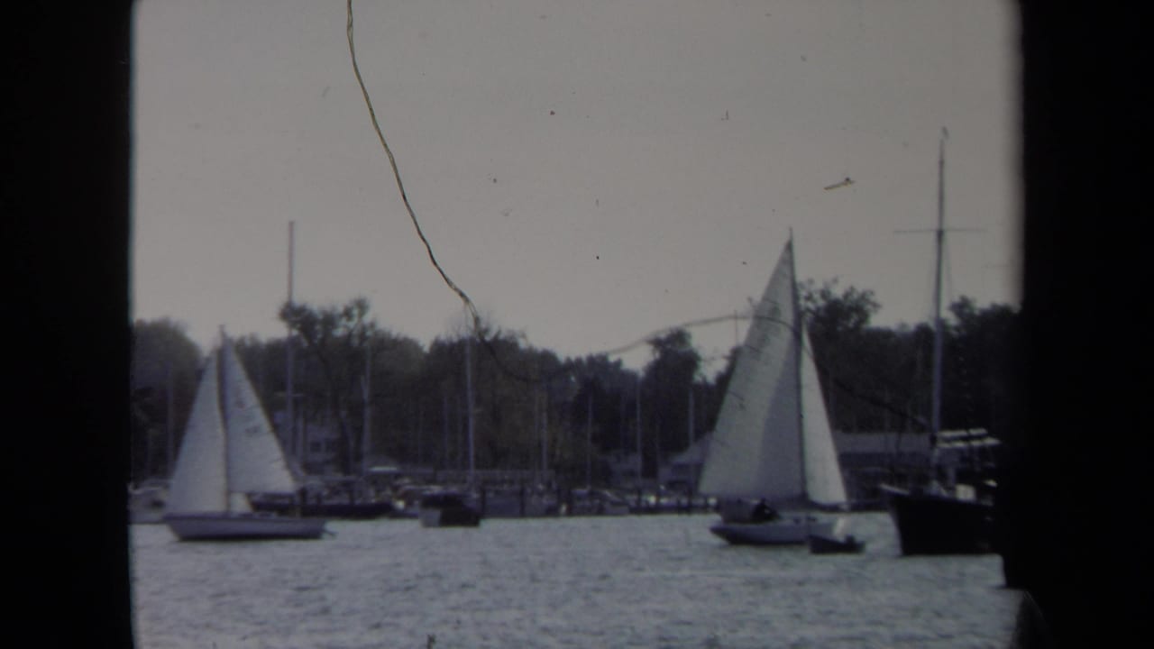 Sailboats cross in front of marina masts with shoreline trees behind them.