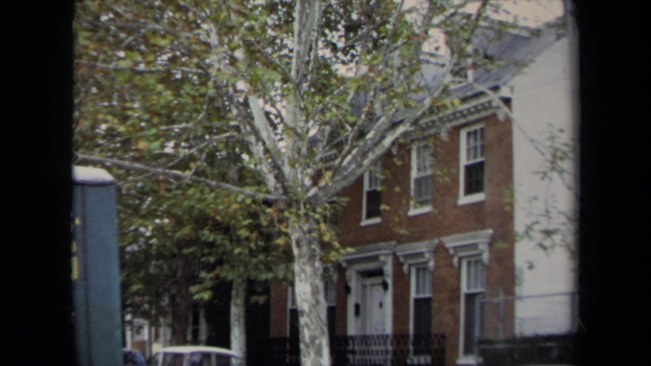 Brick residential building with white trim partly hidden by a large street tree.