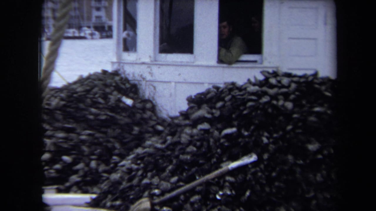 1970 Annapolis 8mm frame showing stacked firewood outside a white house, with a person partly visible in an open window.