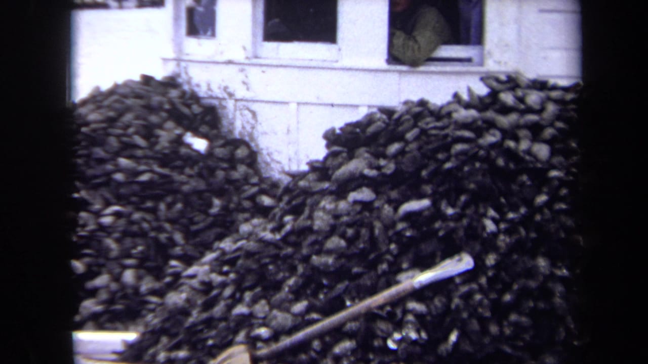 Piles of chopped wood outside a white house, with a person visible near an open window.