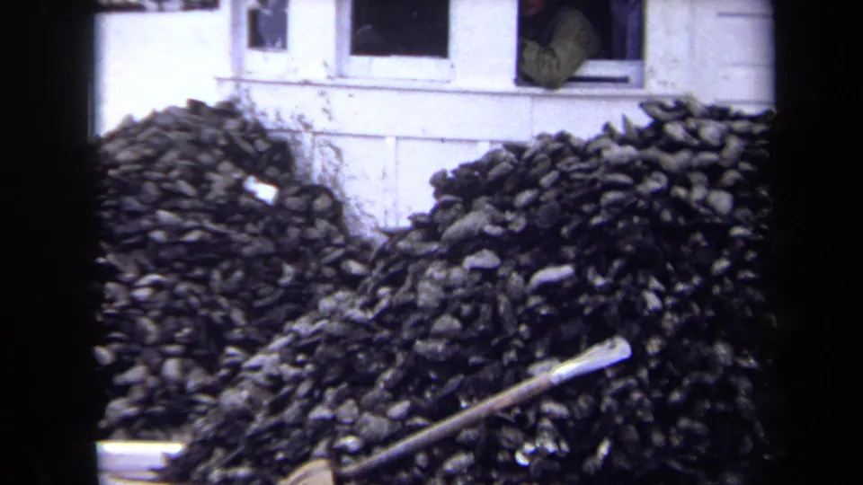 1970 Annapolis home-movie frame of large firewood stacks against a white house, with a partially seen person at the window.