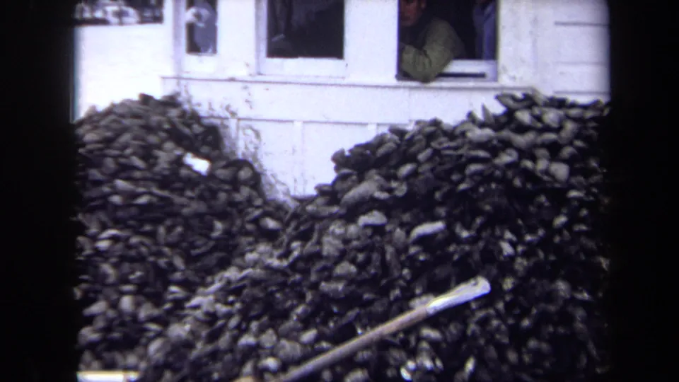 1970 Annapolis frame with dense firewood piles beside a white house, including an open upper window and door trim.