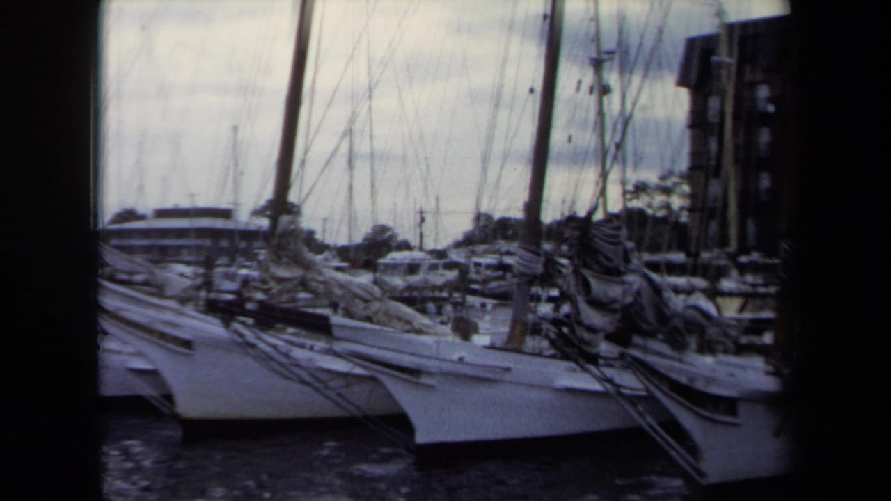 1970 Annapolis marina view with white sailboats moored in calm water, tall masts and rigging crossing the frame, and a low building in the background.