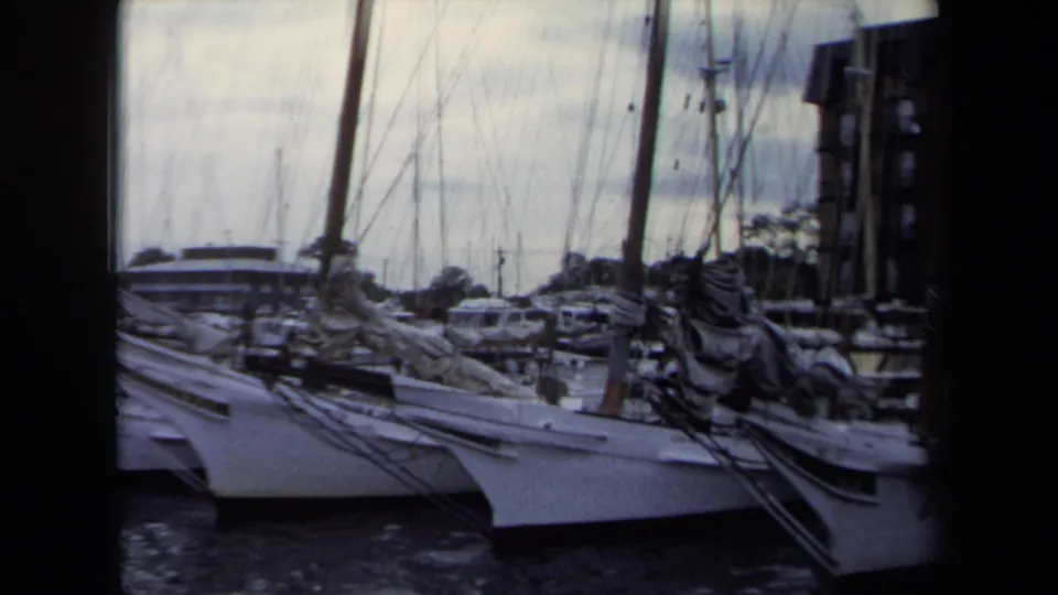 1970 Annapolis marina view with white sailboats moored in calm water, tall masts and rigging crossing the frame, and a low building in the background.
