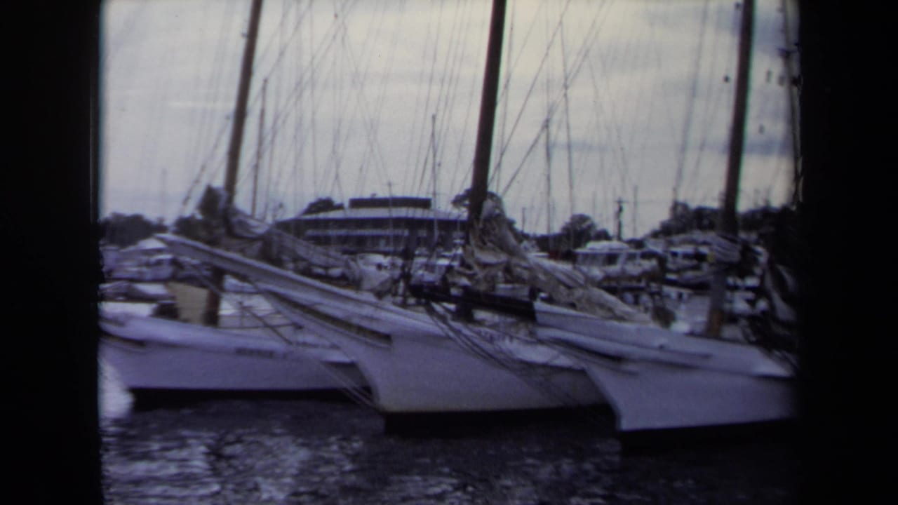 Docked sailboats seen from across the water, with rigging, parked cars, and a low building in the background.