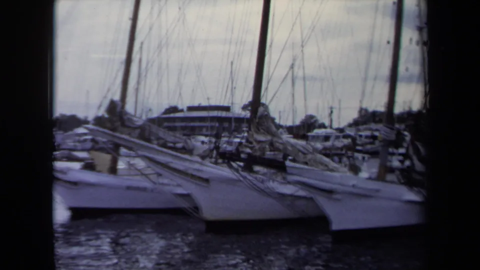 Annapolis harbor frame showing several moored sailboats, dense mast lines, calm water, parked cars, and a modern waterfront building beyond the slips.
