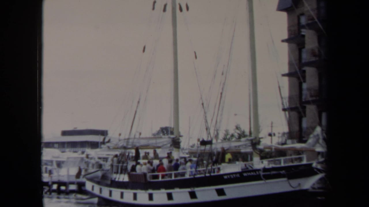 Docked sailboat with people aboard and waterfront buildings nearby.