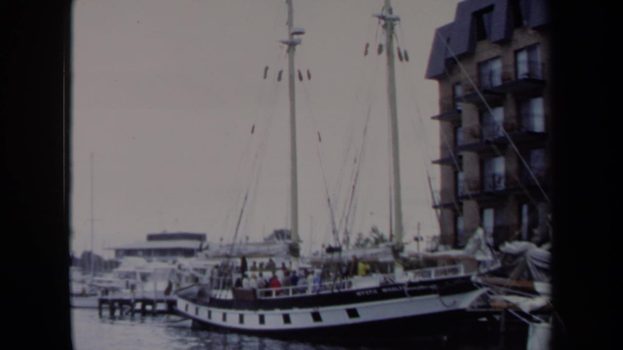 1970 Annapolis harbor view with docked sailboats, tall masts, and a black-and-white boat near waterfront buildings.