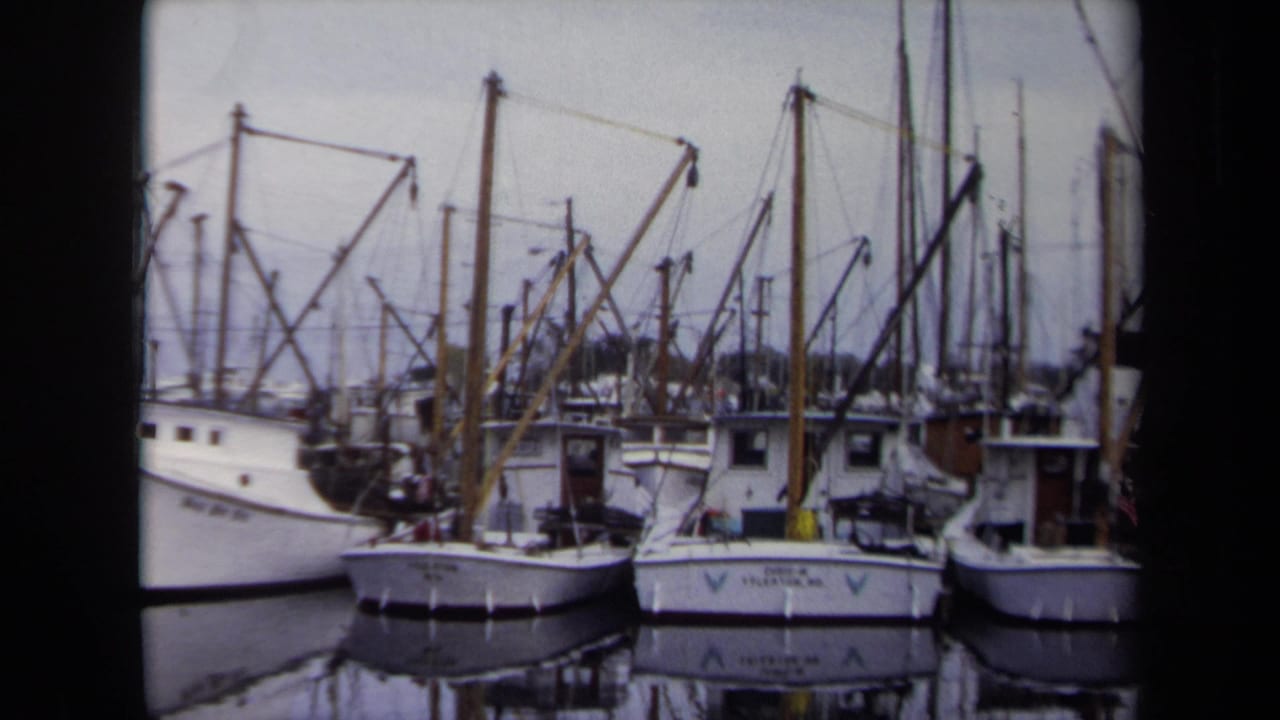 1970 Annapolis marina view with white docked boats, tall masts, rigging, calm water, and soft 8mm home-movie color.
