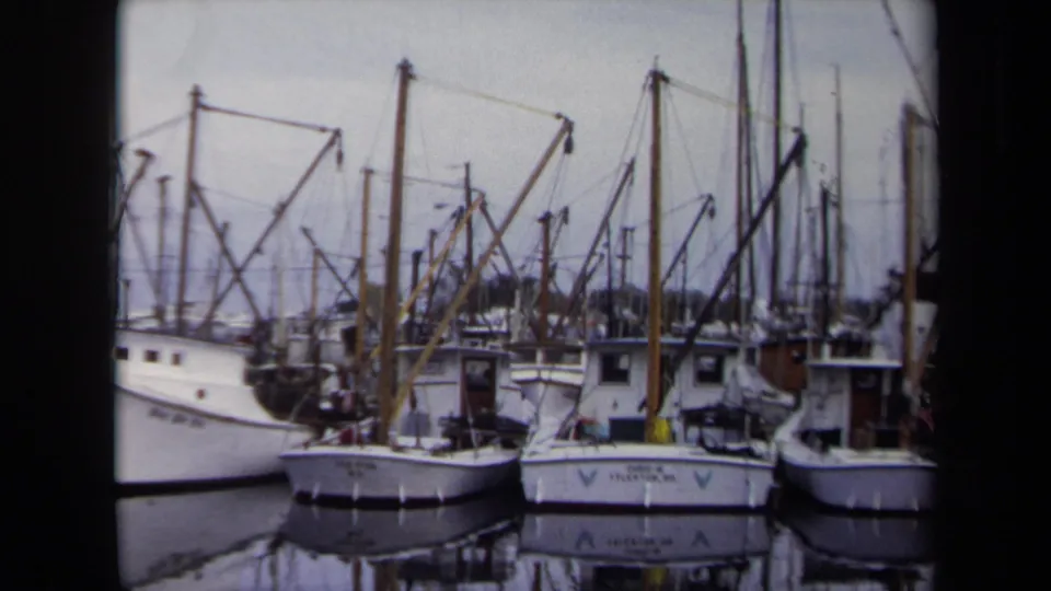 1970 Annapolis marina view with white docked boats, tall masts, rigging, calm water, and soft 8mm home-movie color.