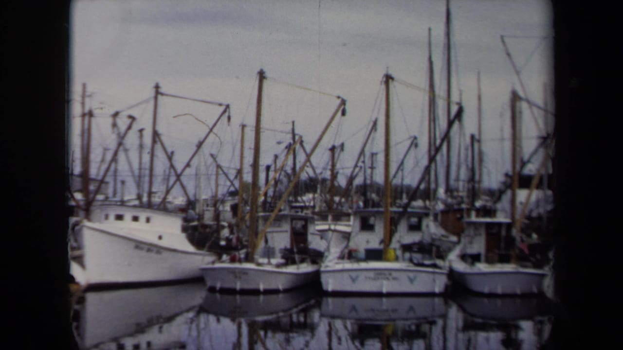 White boats sit close together at an Annapolis marina, with mast lines and rigging reflected in still harbor water.