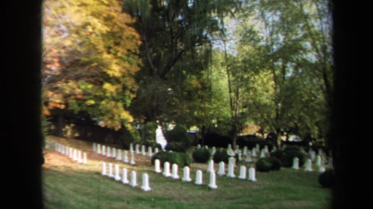 Cemetery headstones and shrubs with a distant person in light clothing.