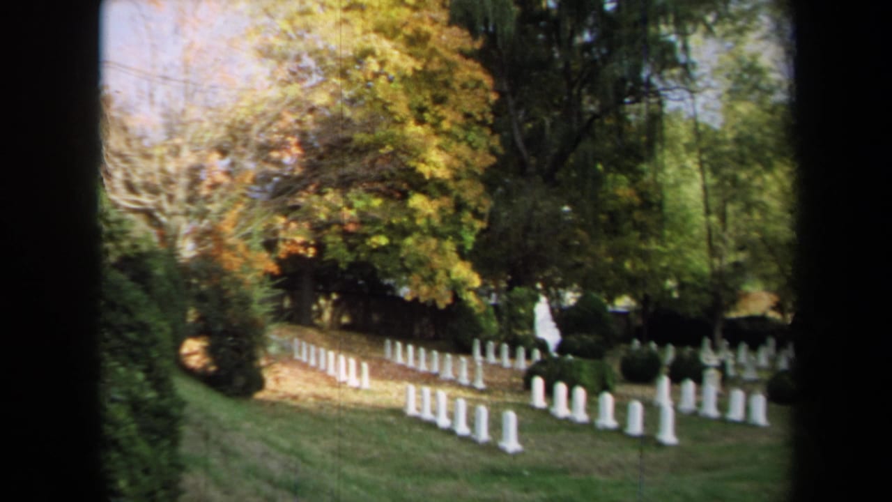 Tilted 8mm view of a military-style cemetery in Annapolis with headstones, shrubs, and autumn foliage.