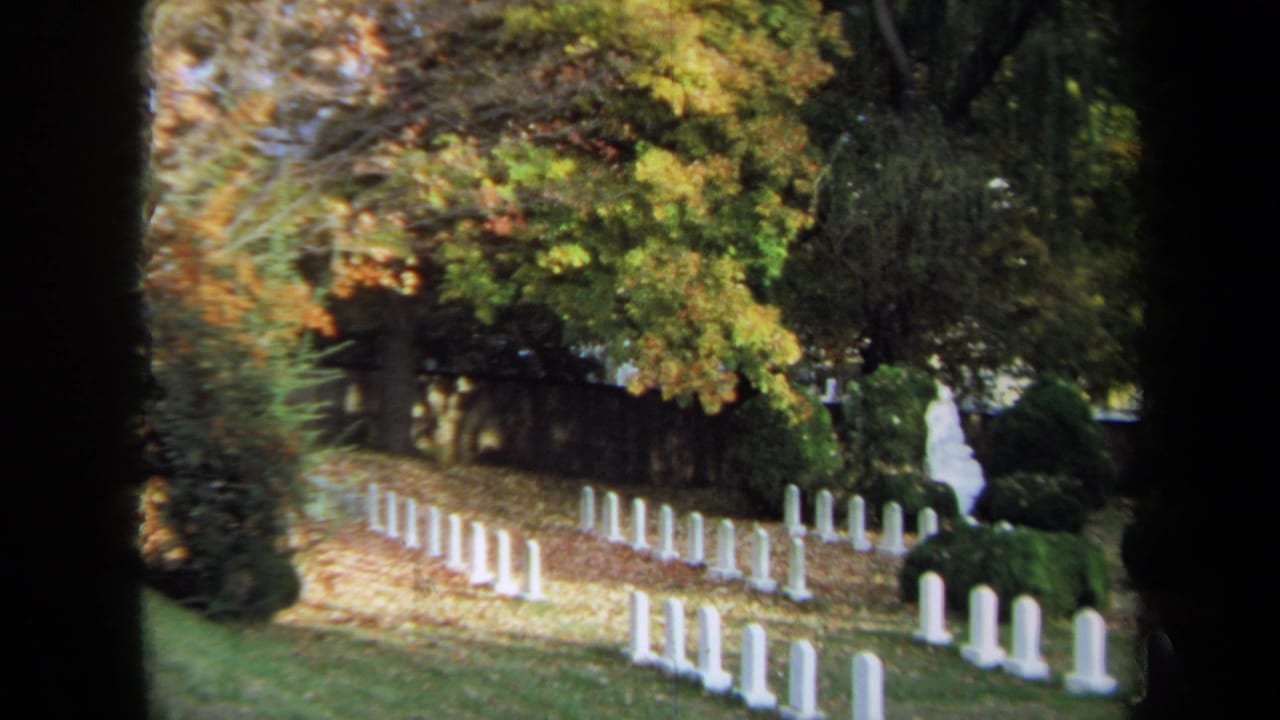 Cemetery headstones and fall trees viewed through 8mm frame edges.