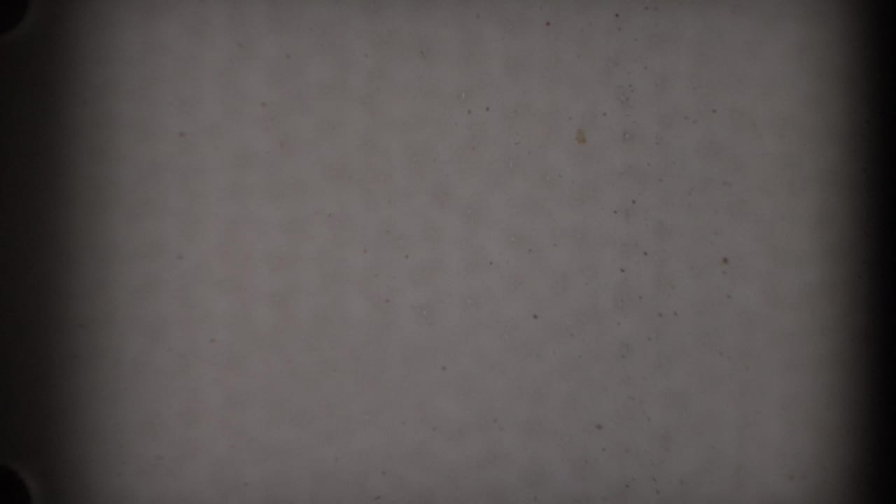 Mostly blank gray film leader with dark gate edges and dust specks.