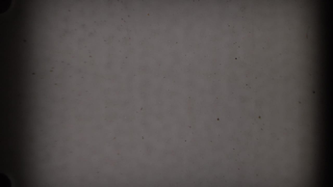Blank 8mm leader frame showing gray film texture, dust marks, dark side borders and a vertical center shadow.