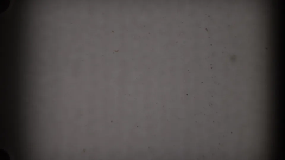 Blank 8mm leader at the end of the clip, with gray exposure, dark gate borders and scattered dust specks.