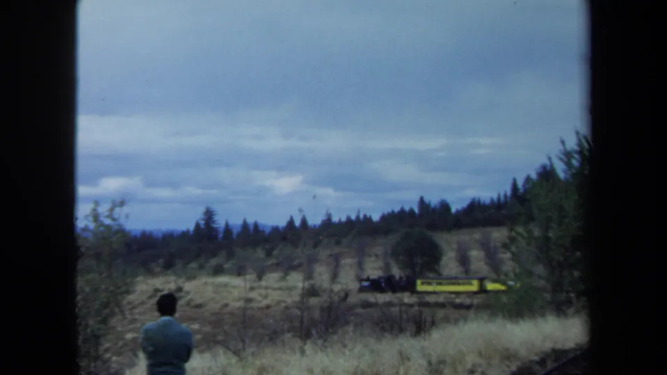 Seen from behind, a man stands in the dry grass while a small yellow train crosses the rural California landscape.