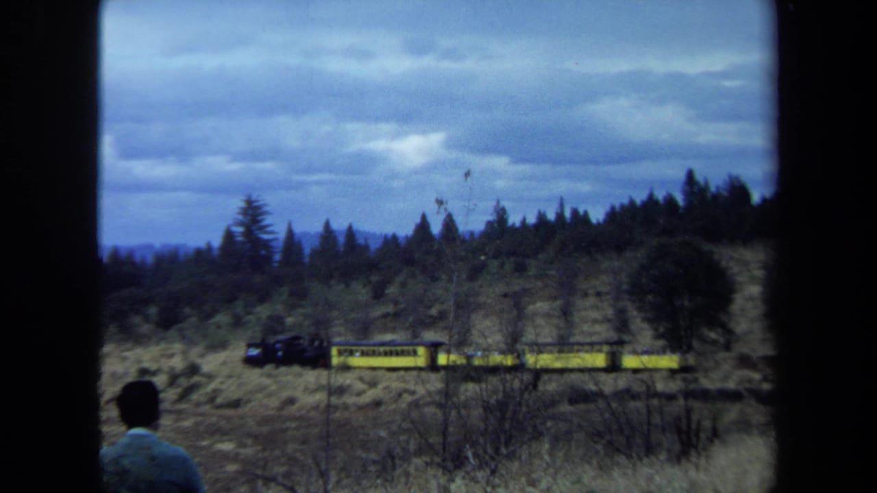 Person seen from behind as a yellow train moves along the hillside beyond dry grass.