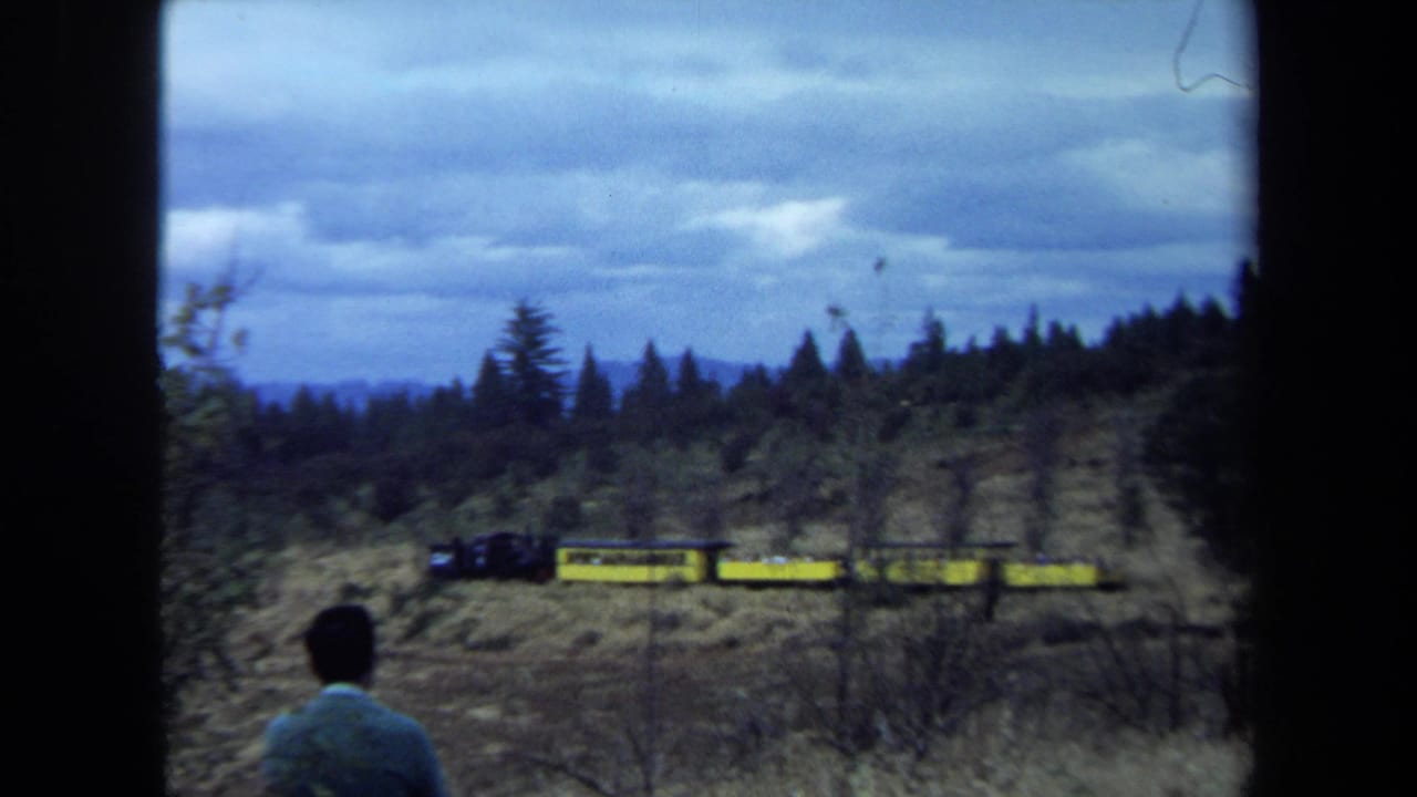 Man in a light shirt stands in grass watching a yellow train pass below pine trees.