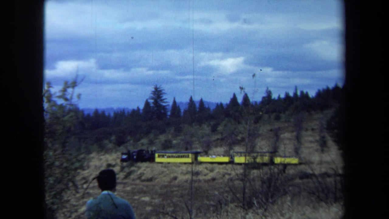 Small yellow rail cars and a dark engine pass through a pine-lined California hillside as a man observes from the lower foreground.