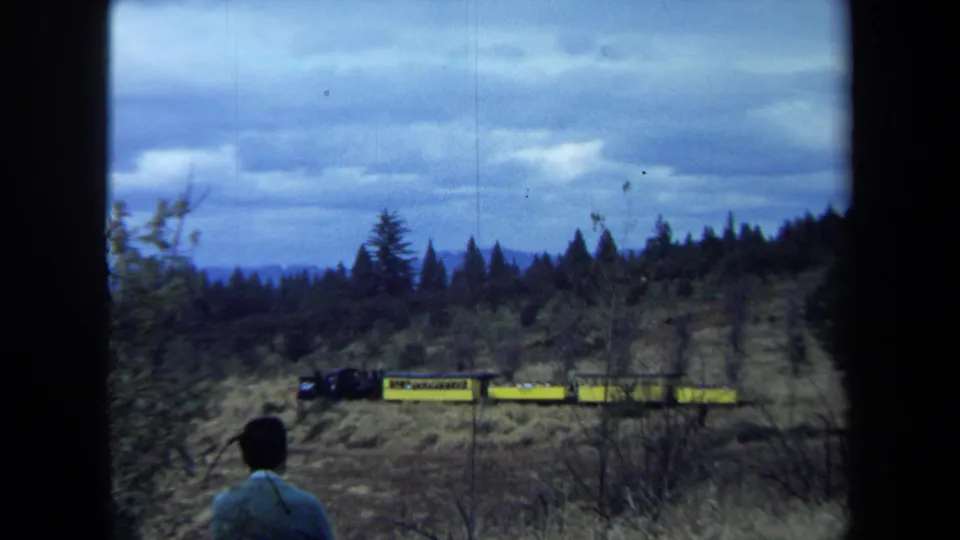 Small yellow rail cars and a dark engine pass through a pine-lined California hillside as a man observes from the lower foreground.