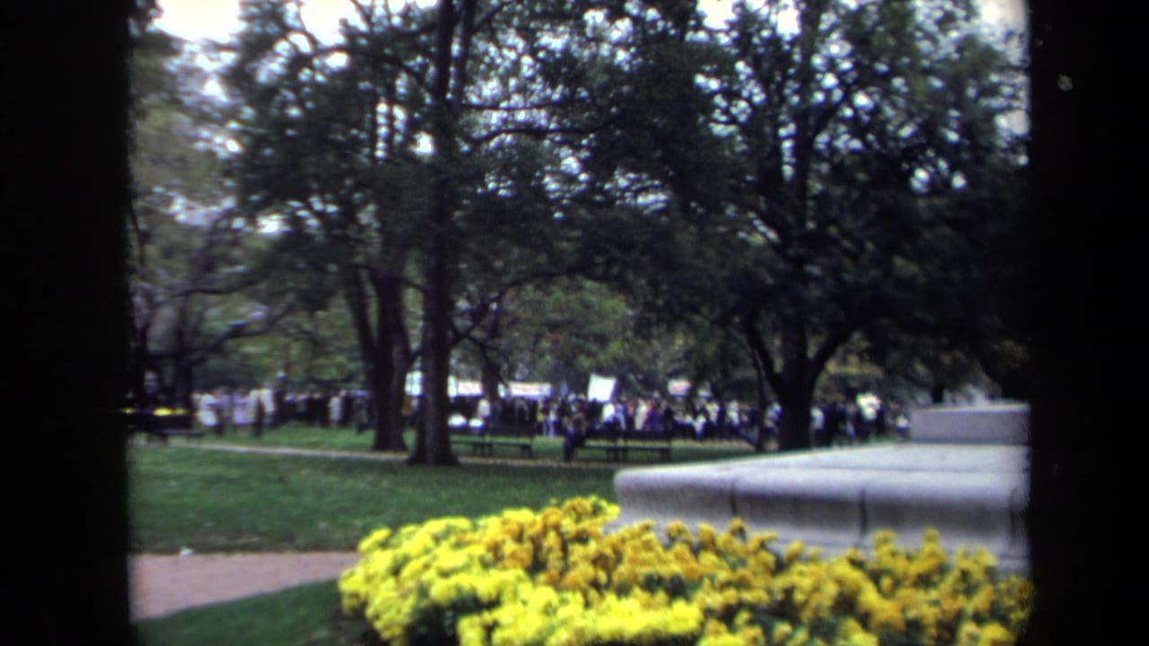 1970 Washington, DC park view framed by trees, with yellow flowers in front and a distant protest crowd across the lawn.
