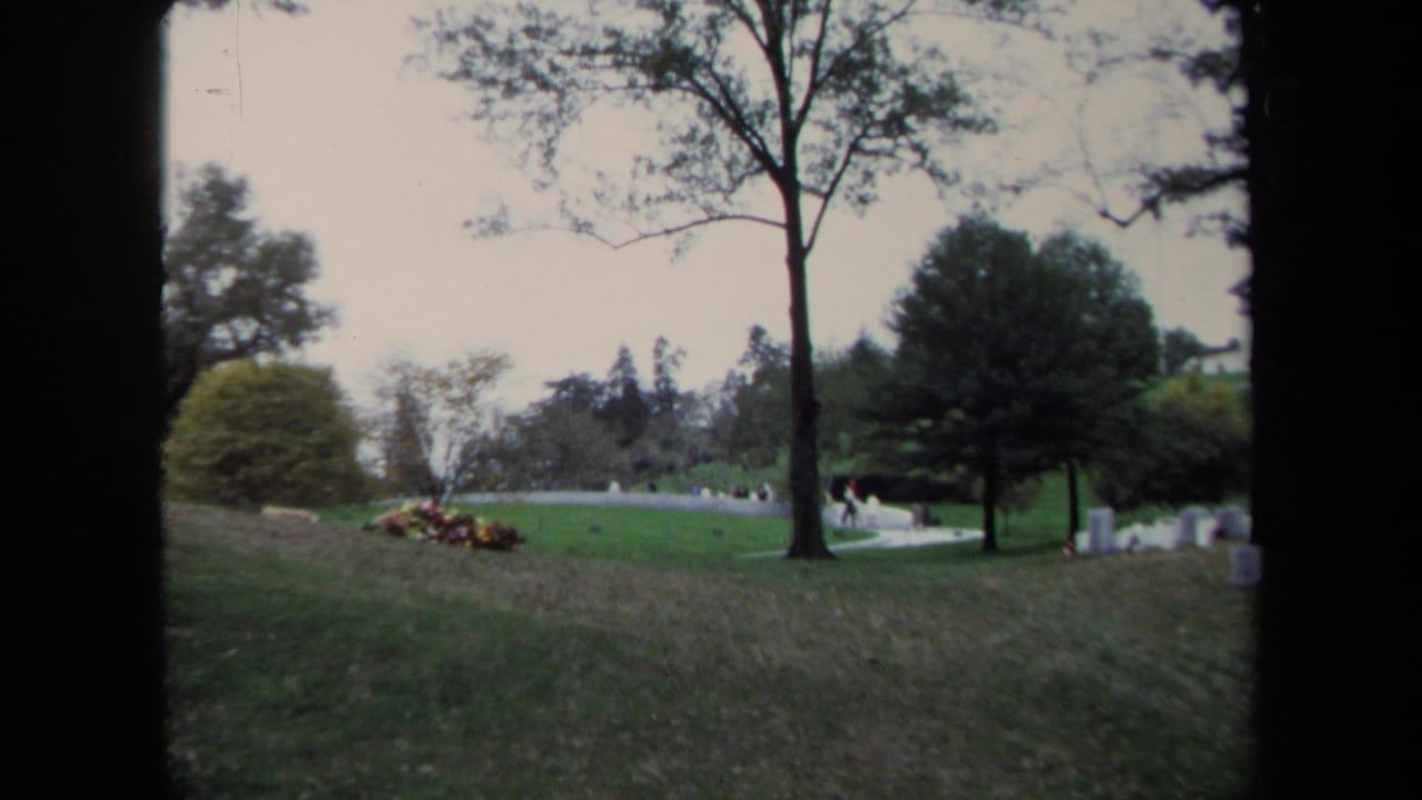 Grassy park slope with trees, distant visitors, a curved path, and small upright markers.