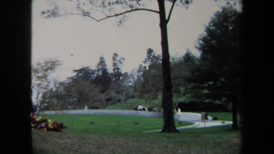 1970 Washington DC park view with a tall foreground tree, green lawn, winding pale path, and distant people near the edge of the grounds.