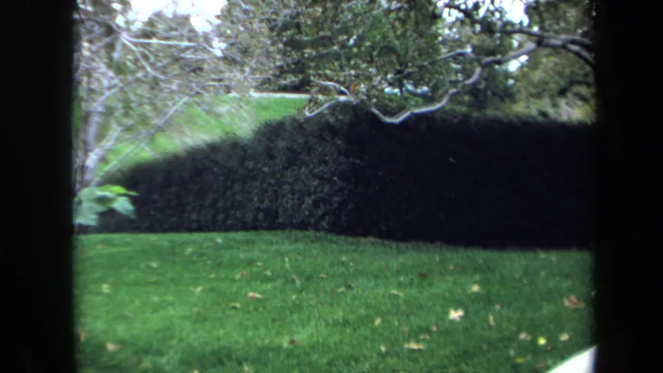 Quiet Washington, DC park view from 1970 showing lawn, clipped hedge, trees, and the edge of a curved walkway.
