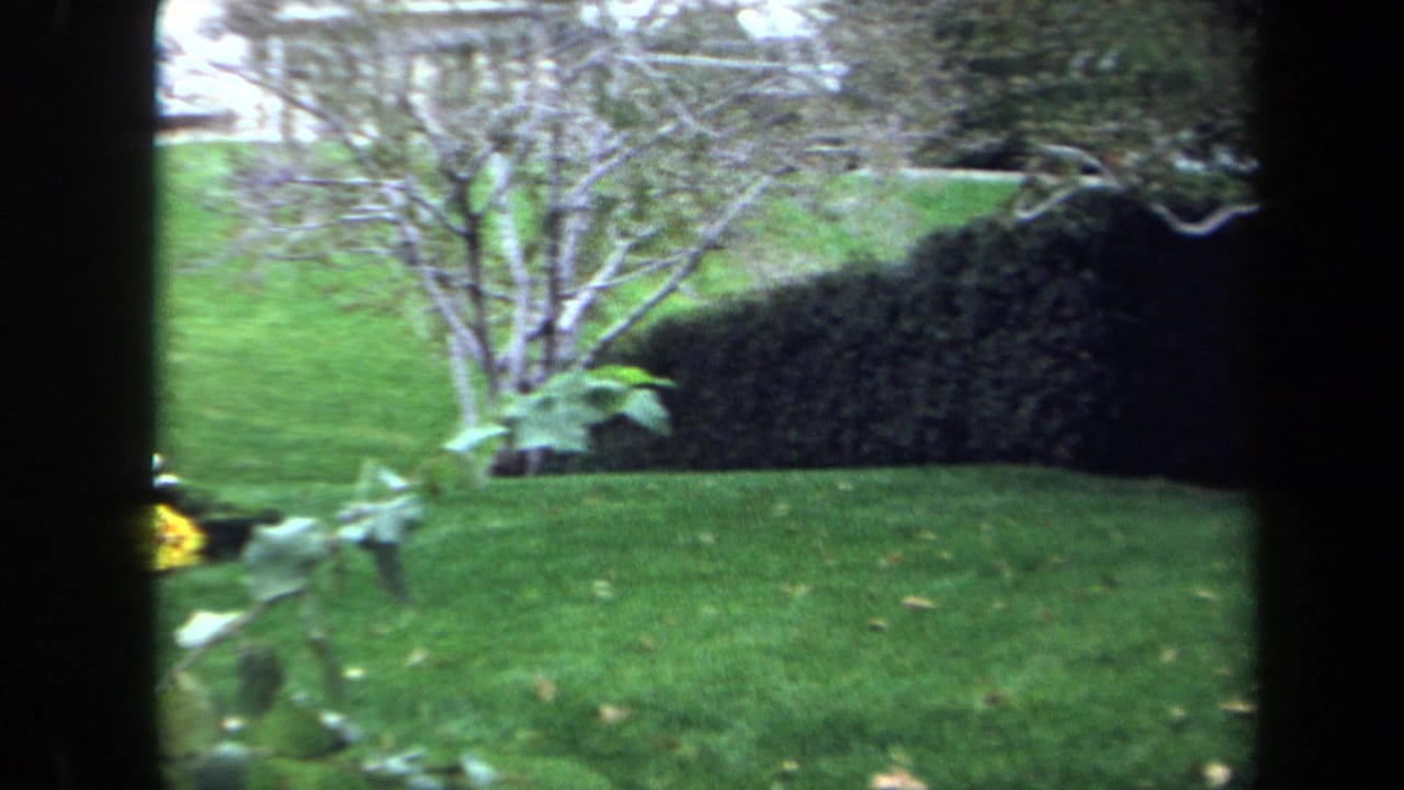 1970 Washington, DC 8mm frame showing a green lawn, trees, hedge, and dark foreground obstruction before the grave marker comes into view.