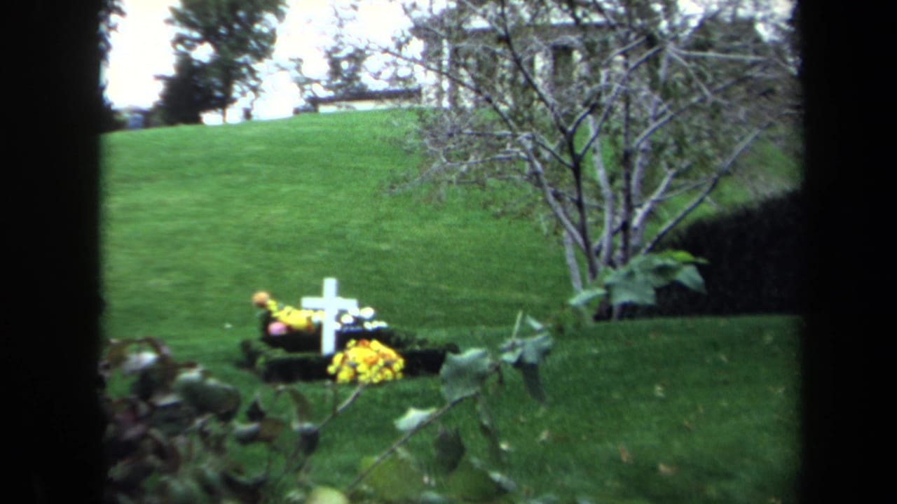 White cross grave marker with yellow flowers on a green lawn, seen near a hedge and small tree.