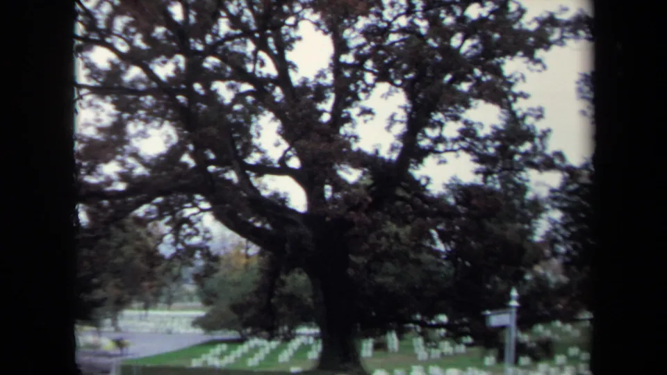 Wide handheld 8mm frame showing white cemetery crosses, a curving path, and large trees in the Washington, DC military cemetery.