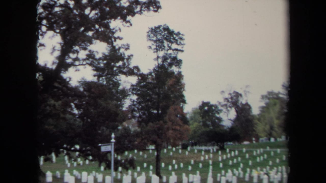 Cemetery lawn with many white headstones, trees, and a small signpost.