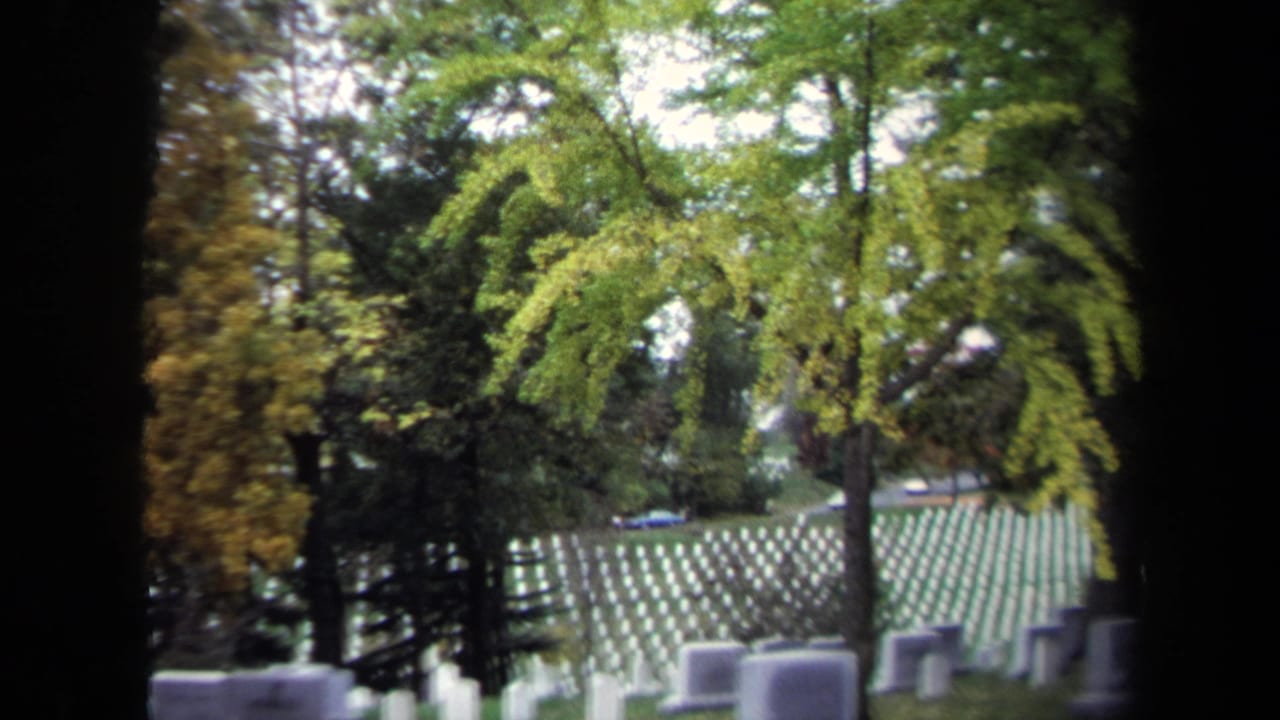 Cemetery headstones and trees with a road and cars in the distance.
