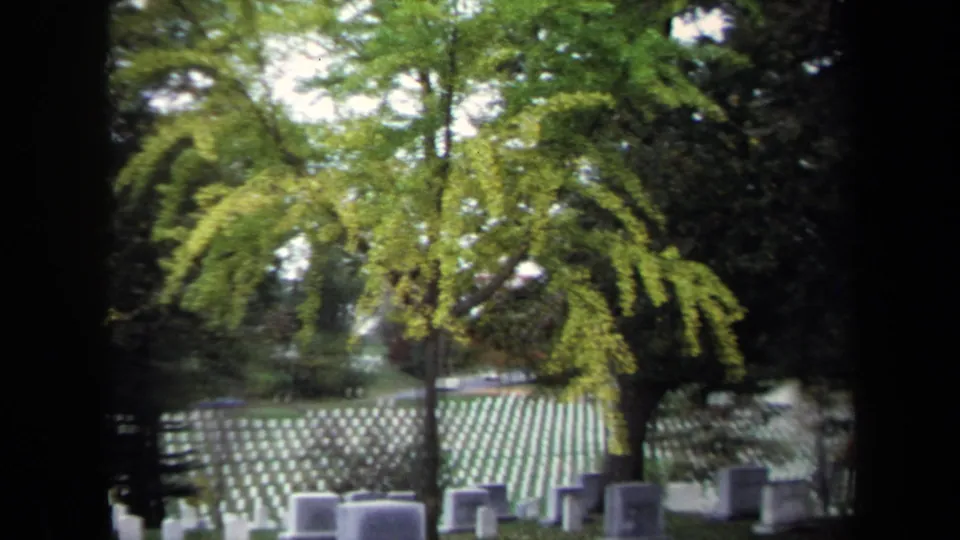 A 1970 Washington, DC home-movie frame shows drooping tree branches above white headstones on a sloped cemetery lawn.