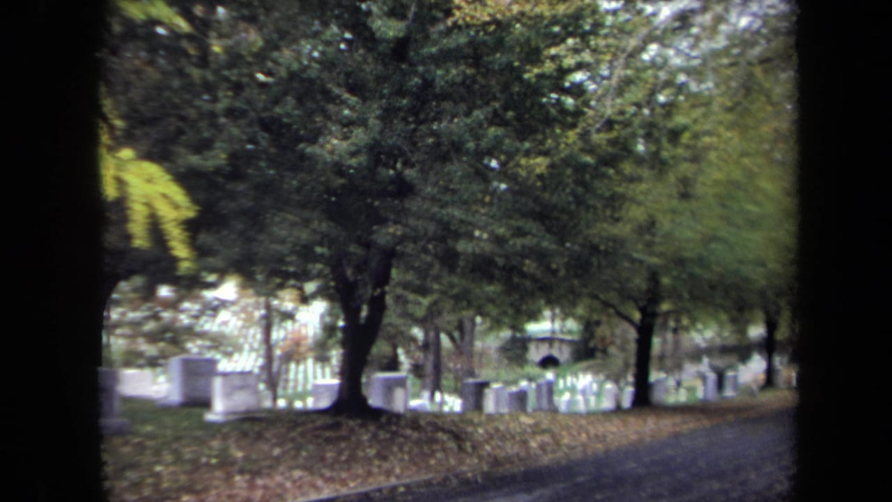 Tree-lined cemetery road with gravestones and autumn leaves.