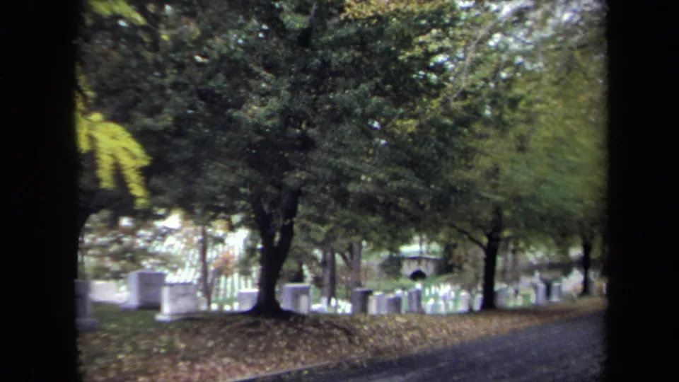 Tree-lined cemetery drive in Washington, DC, with headstones and larger markers visible through soft 8mm motion blur.