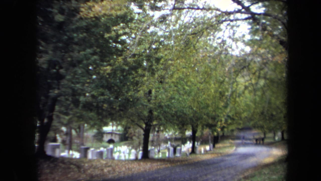 1970 8mm view in Washington DC of a tree-lined cemetery road with white headstones visible on both sides.