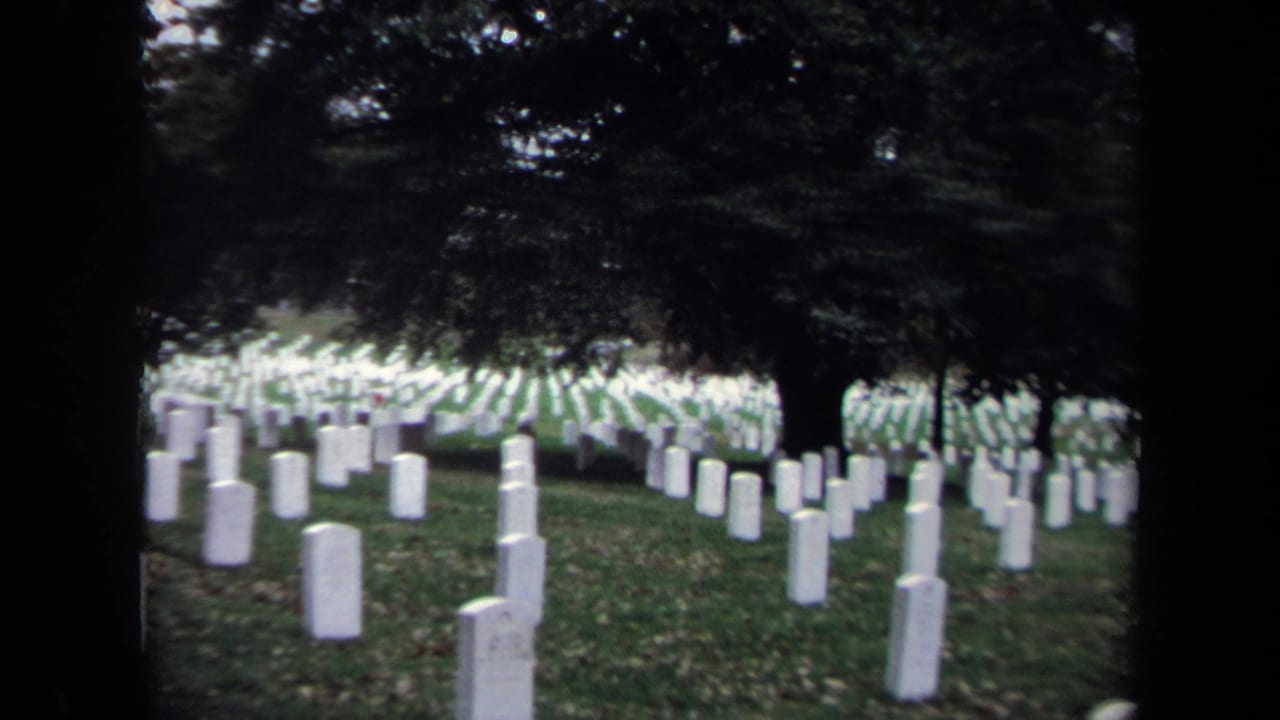Rows of white tombstones stretch across a Washington, DC cemetery lawn, partly obscured by dark tree branches.