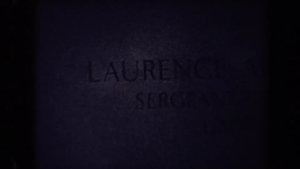 Low-light 8mm view of the upper headstone inscription for Laurence Adolph Steinhardt in a Washington, DC cemetery setting.