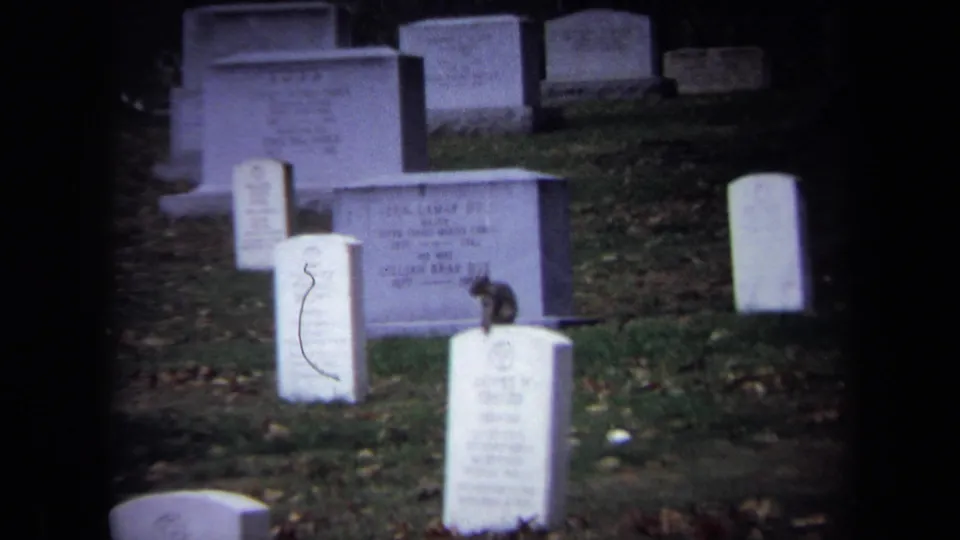 The monkey remains perched on a white cemetery marker as the 8mm camera frames surrounding headstones.