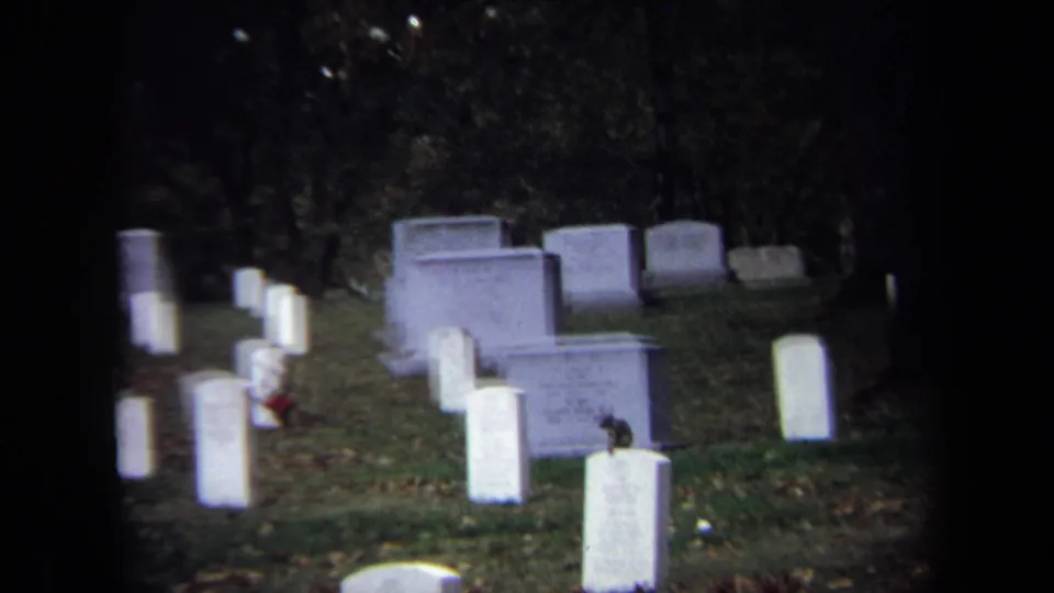 A wider 1970 Washington, DC cemetery view shows the monkey on a gravestone amid rows of pale markers.
