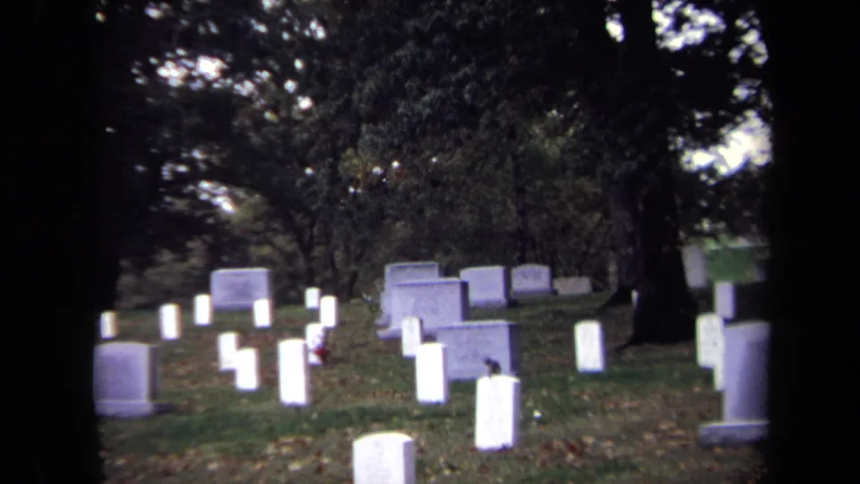 Wide 8mm frame of a tree-lined cemetery in Washington, DC, with the monkey visible on a distant white marker.