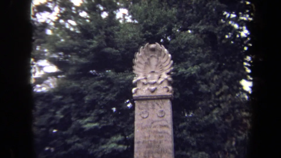 Close 8mm frame from Washington, DC showing the monument crest and weathered stone face with trees behind it.